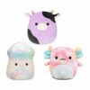Squishmallow 5 Inch Fan Favorites Squad Set Of 3 - Alexie, Kervena, Aksel -OWL AND GOOSE GIFTS Sales FullSizeRender 5ef24f72 6379 419f b54f 4960155f1027